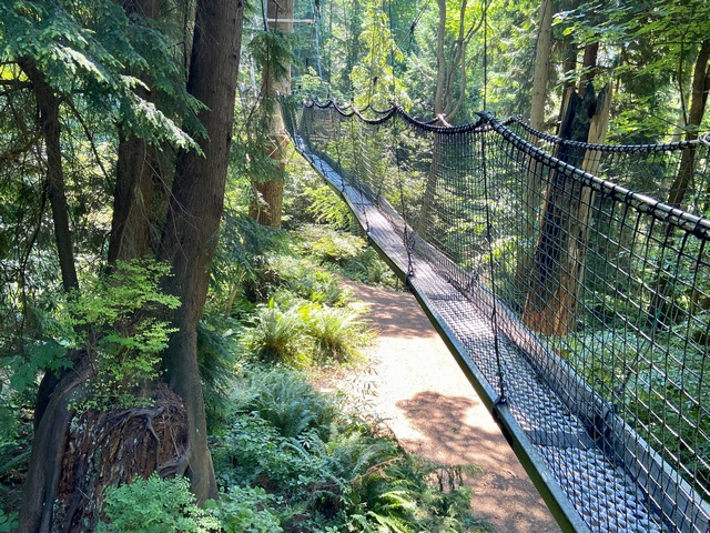 UBC Greenhart Tree Walk