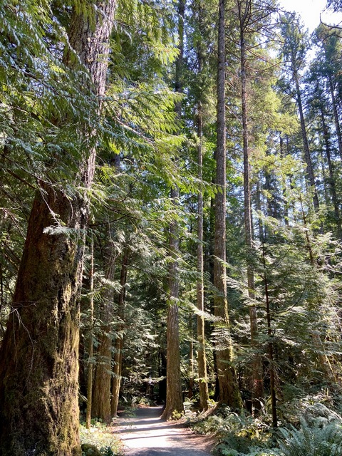 West Shawnigan Lake short walking path