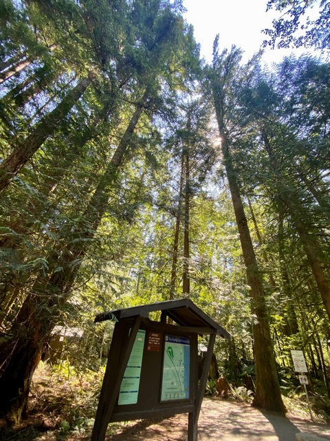 West Shawnigan Lake sign