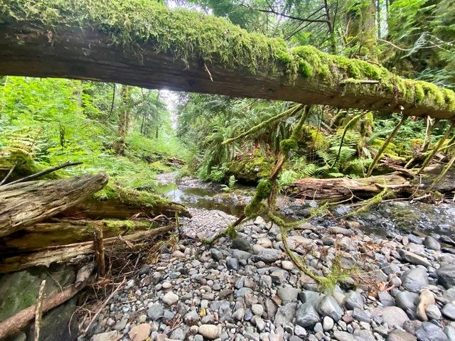 Stocking Creek