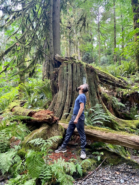 Stocking Creek green forest