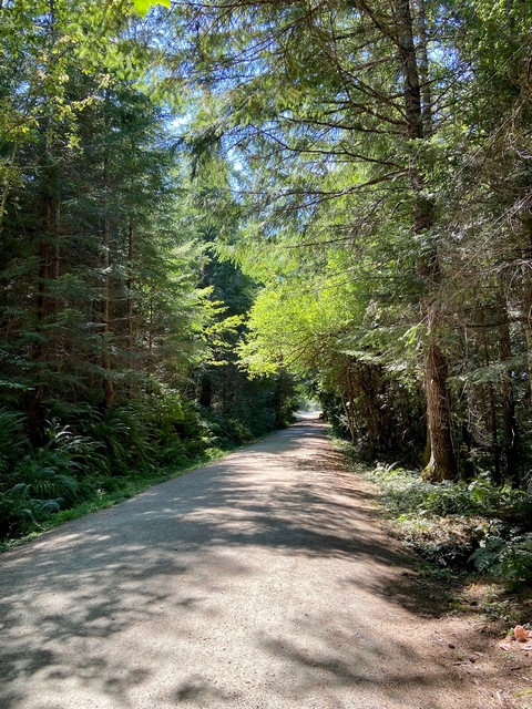 Kinsol Trestle Bridge pathway