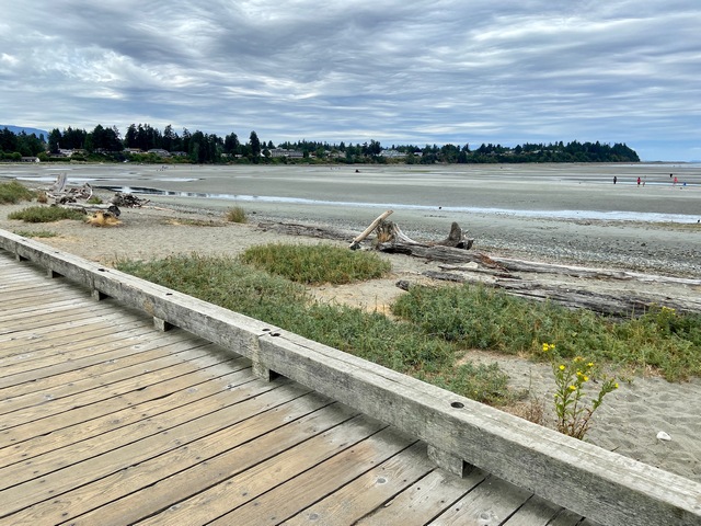 Parksville boardwalk