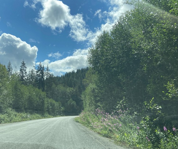 Road to Port Renfrew from Lake Cowichan