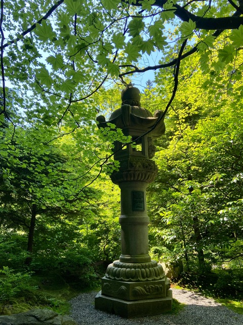 Nitobe Asian Garden lantern