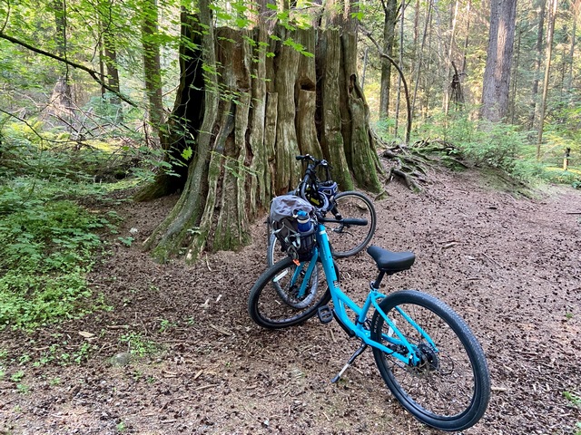 Biking in Stanley Park Vancouver