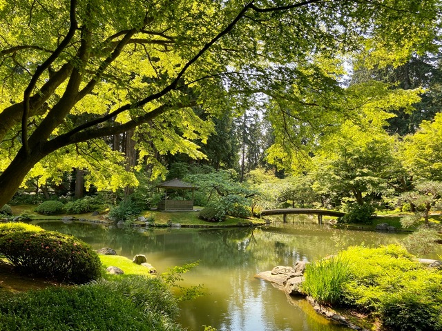 Nitobe Asian Garden pond