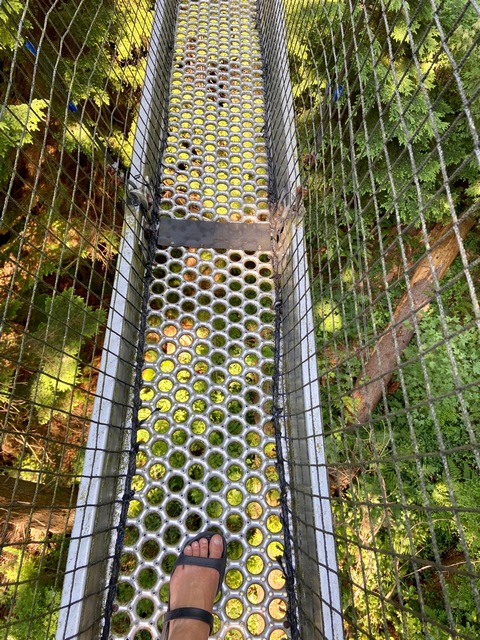 UBC Greenhart Tree Walk