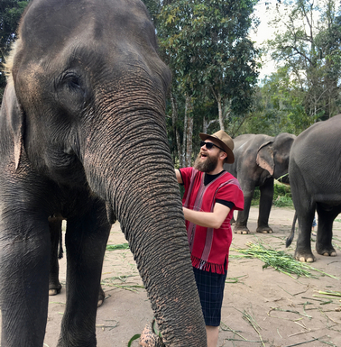 Elephants in Chiang Mai Thailand