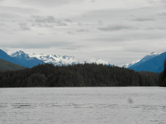 Mountain View in Tofino while Sea Kayaking