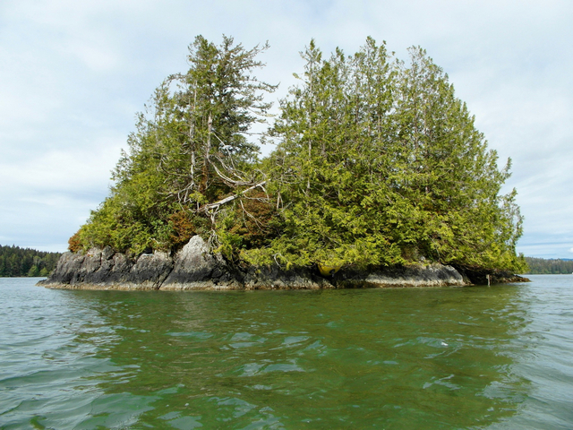 Tofino Sea Kayaking by islands